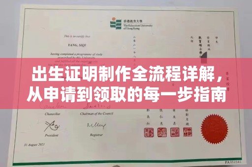 山城出生证明制作全流程详解，从申请到领取的每一步指南